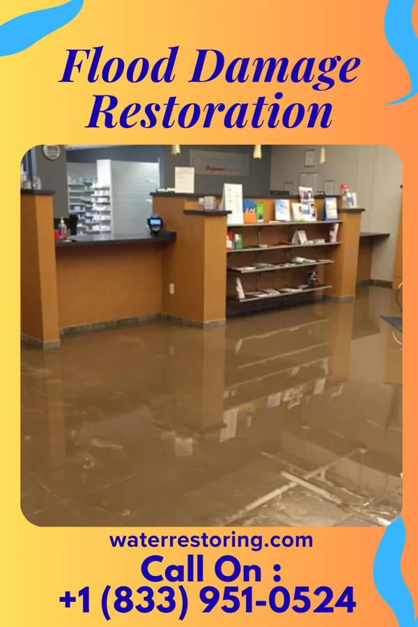 Flood Damage Restoration in Chalfant, PA