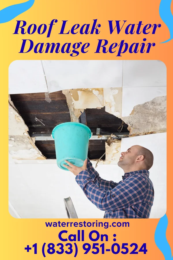 Roof Leak Water Damage Repair in Chalfant, PA