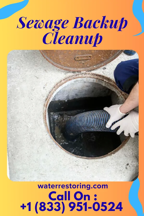 Sewage Backup Cleanup in Chalfant, PA