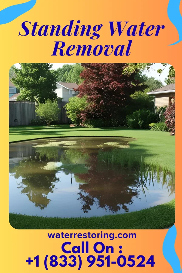 Standing Water Removal in Chalfant, PA